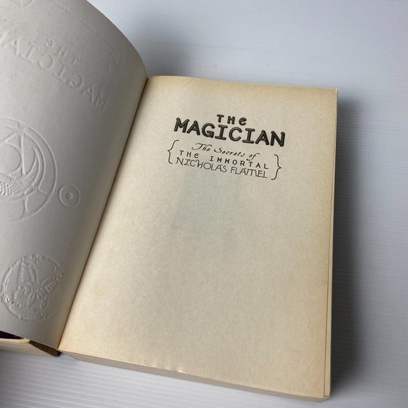 Secrets Of The Immortal Nicholas Flamel By Michael Scott Books 2 & 3 Medium PB - Picture 8 of 9